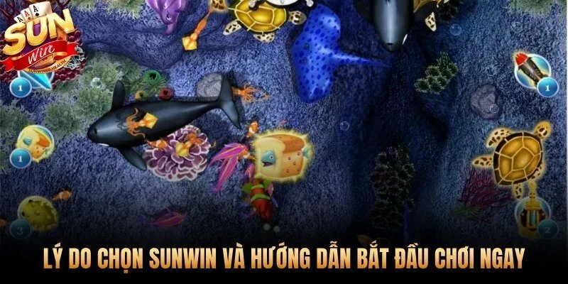 Hơn 10 triệu tài khoản và tốc độ rút tiền 5-15 phút đã xác minh